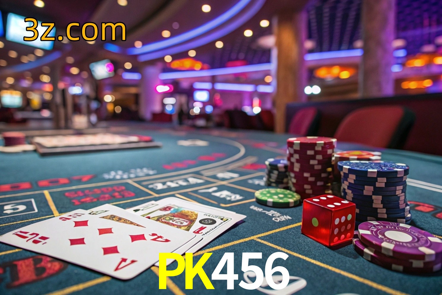  PK456