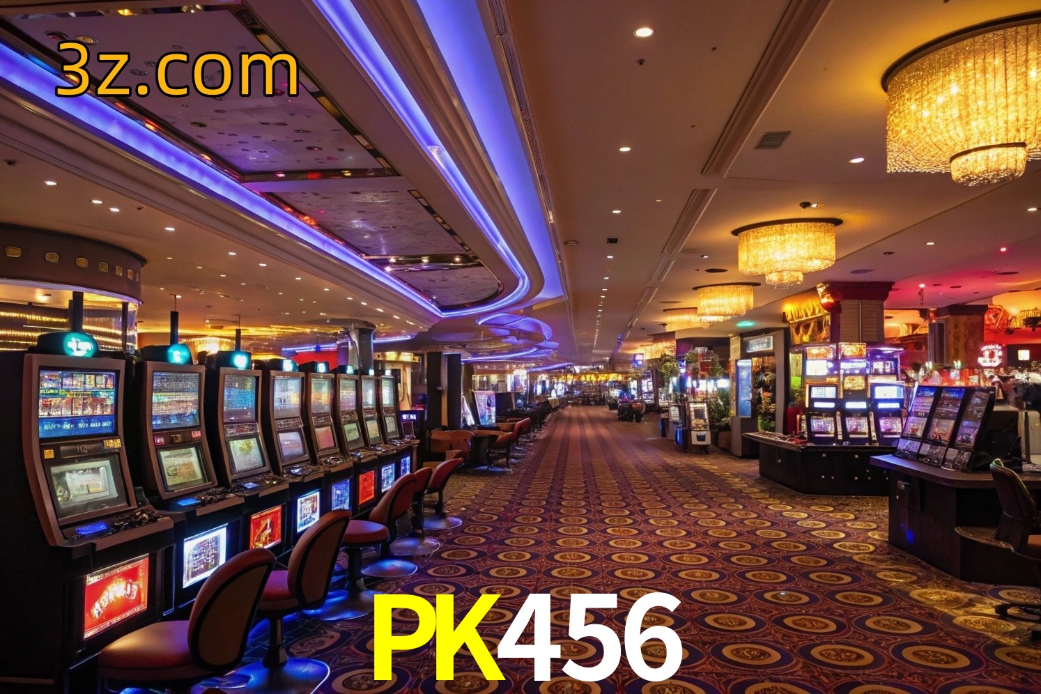  PK456